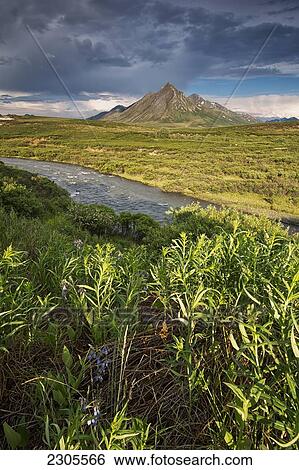 Stock Photograph - Angelcomb Mountain Lit By Late Afternoon Light Along The Dempster Highway; Yukon Canada. Fotosearch