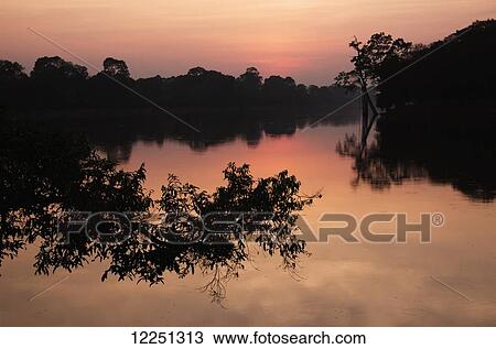 Stock Image - Angkor Wat, sunset with tree branch over water that surrounds complex; Siem Reap, Cambodia. Fotosearch