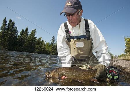Picture - Angler releasing a large brook trout (Salvelinus fontinalis); Ontario, Canada. Fotosearch