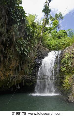 Annandale waterfall, Grenada. View Large Photo Image Stock Photo - Annandale waterfall, Grenada.. Fotosearch