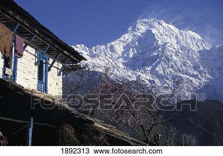Annapurna Sanctuary And Mountain In Background View Large Photo Image Stock Image - Annapurna Sanctuary And Mountain In Background. Fotosearch
