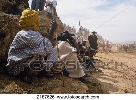 Annual Fulani Cattle Crossing Of The Niger River At Diafarabe, Mali. View Large Photo Image Stock Photograph - Annual Fulani Cattle Crossing Of The Niger River At Diafarabe, Mali.. Fotosearch