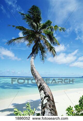 Stock Image - Anse Sourse D'argent. Fotosearch