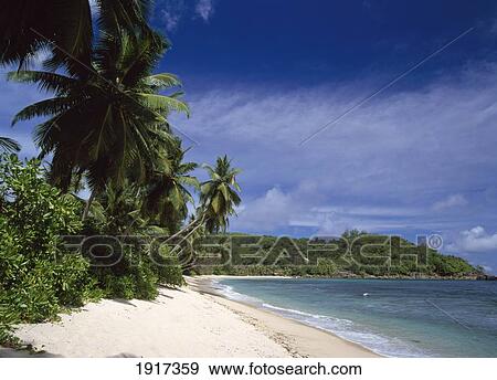 Anse Takamaka View Large Photo Image Stock Photo - Anse Takamaka. Fotosearch