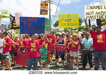 Stock Image - Anti-GMO Rally; Kauai, Hawaii, United States of America. Fotosearch