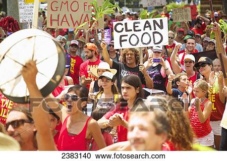Stock Image - Anti-GMO Rally; Kauai, Hawaii, United States of America. Fotosearch