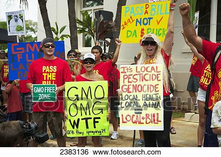 Anti-GMO Rally; Kauai, Hawaii, United States of America View Large Photo Image Stock Photograph - Anti-GMO Rally; Kauai, Hawaii, United States of America. Fotosearch