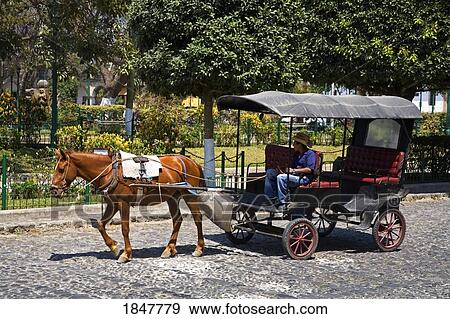 Antigua, Guatemala, Central America; Horse And Buggy View Large Photo Image Stock Photo - Antigua, Guatemala, Central America; Horse And Buggy. Fotosearch