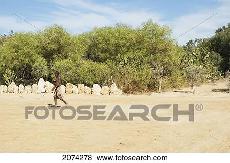 Arboretum D'antsokay, Toliara Province, Madagascar View Large Photo Image Stock Photo - Arboretum D'antsokay, Toliara Province, Madagascar. Fotosearch