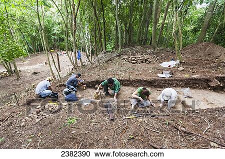 Stock Image - Archeologists dig at the ancient Mayan ruins of Caracol; Belize. Fotosearch