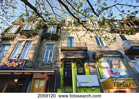 Architecture On Saint-Denis Street, Montreal, Quebec View Large Photo Image Stock Image - Architecture On Saint-Denis Street, Montreal, Quebec. Fotosearch