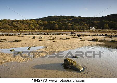 Stock Image - Argyl And Bute; Scotland, Uk. Fotosearch