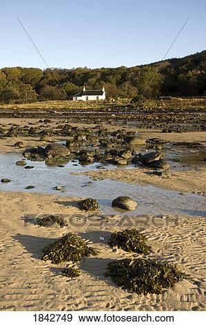 Stock Photo - Argyl And Bute; Scotland, Uk. Fotosearch