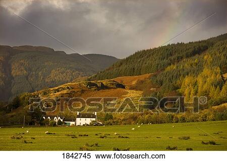 Argyl And Bute; Scotland, Uk View Large Photo Image Stock Photography - Argyl And Bute; Scotland, Uk. Fotosearch