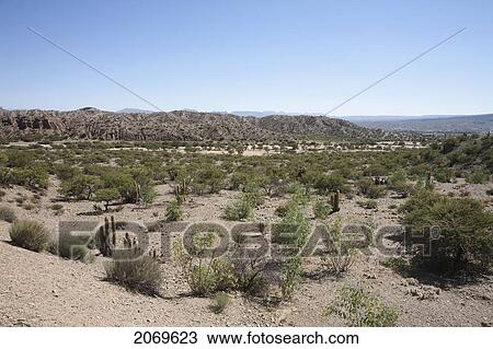 Arid Landscape In Sud L View Large Photo Image Stock Image - Arid Landscape In Sud L. Fotosearch