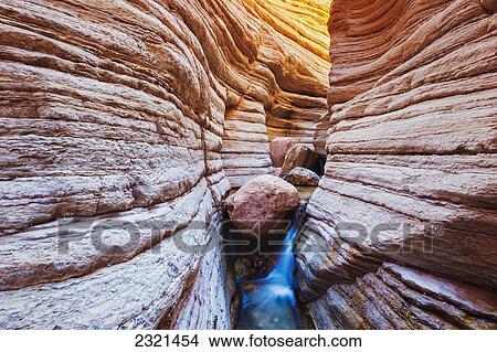 Picture - Arizona, Grand Canyon National Park, Matkatamiba Slot Canyon, Flowing Stream Among Amazing Rock Formations.. Fotosearch