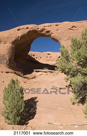Arizona, Navajo Tribal Park, Monument Valley, Mystery Valley, Honeymoon Arch, Desert foliage in foreground. View Large Photo Image Stock Image - Arizona, Navajo Tribal Park, Monument Valley, Mystery Valley, Honeymoon Arch, Desert foliage in foreground.. Fotosearch