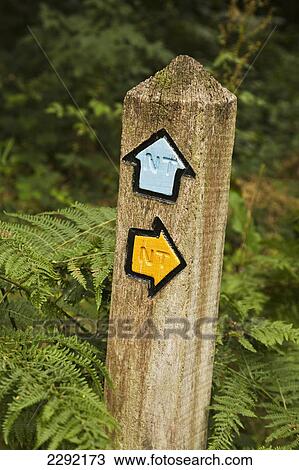 Arrows on wood post; England, UK View Large Photo Image Stock Image - Arrows on wood post; England, UK. Fotosearch