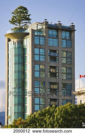 Artist's Choice: Building With A Tree On The Rooftop, Vancouver, British Columbia View Large Photo Image Stock Image - Artist's Choice: Building With A Tree On The Rooftop, Vancouver, British Columbia. Fotosearch