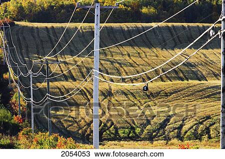 Artist's Choice: Electricity Poles And Power Lines In Rural Area, Bas-Saint-Laurent Region, Saint-Simon, Quebec View Large Photo Image Stock Image - Artist's Choice: Electricity Poles And Power Lines In Rural Area, Bas-Saint-Laurent Region, Saint-Simon, Quebec. Fotosearch