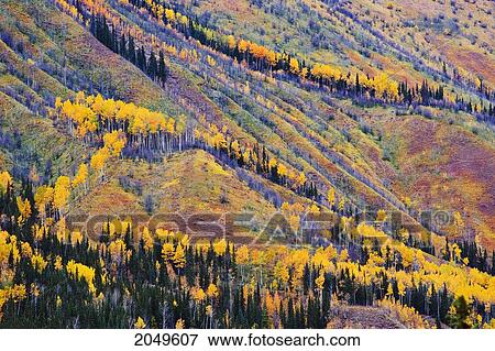 Stock Photo - Artist's Choice: Fall Colours, Toad River, Northern British Columbia. Fotosearch