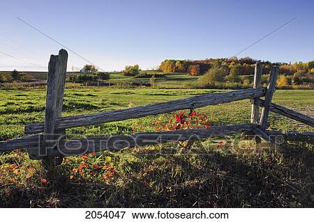Artist's Choice: Farmland And Wood Fence, Bas-Saint-Laurent Region, Saint-Louis-Du-Ha Ha, Quebec View Large Photo Image Stock Photo - Artist's Choice: Farmland And Wood Fence, Bas-Saint-Laurent Region, Saint-Louis-Du-Ha Ha, Quebec. Fotosearch