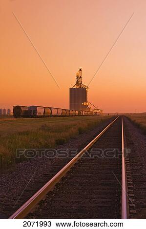 Artist's Choice: Grain Rail Hopper Cars Being Loaded At An Inland Grain Terminal, Gull Lake, Saskatchewan View Large Photo Image Stock Image - Artist's Choice: Grain Rail Hopper Cars Being Loaded At An Inland Grain Terminal, Gull Lake, Saskatchewan. Fotosearch