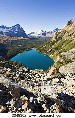 Stock Image - Artist's Choice: Lake O'hara, Yoho National Park, British Columbia. Fotosearch