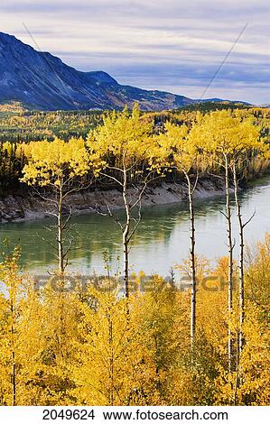 Artist's Choice: Liard River And Fall Colours, Northern British Columbia View Large Photo Image Picture - Artist's Choice: Liard River And Fall Colours, Northern British Columbia. Fotosearch