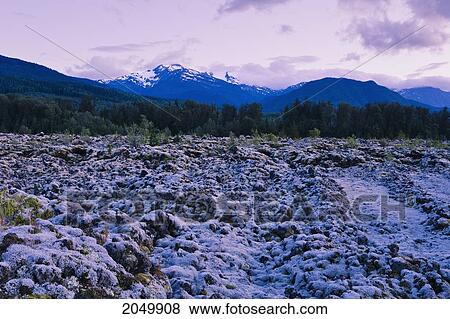 Stock Photo - Artist's Choice: Lichens Cover Lava Rock, Nisga'a Provincial Park, British Columbia. Fotosearch