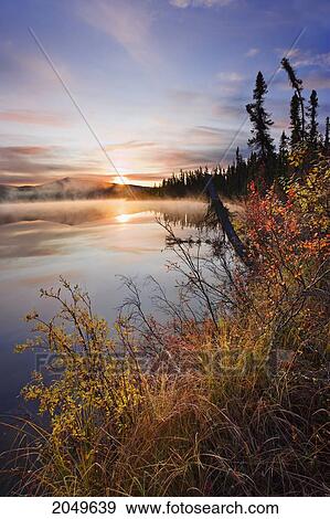 Stock Photo - Artist's Choice: Mist Over Lake At Sunrise, Northern British Columbia. Fotosearch