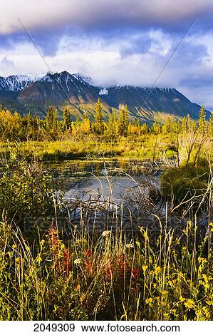 Artist's Choice: Pond And Kluane Range At Sunrise, Kluane National Park, Yukon View Large Photo Image Stock Photo - Artist's Choice: Pond And Kluane Range At Sunrise, Kluane National Park, Yukon. Fotosearch