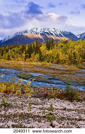 Artist's Choice: Quill Creek And Kluane Range In Fall At Sunset, Kluane National Park, Yukon View Large Photo Image Stock Image - Artist's Choice: Quill Creek And Kluane Range In Fall At Sunset, Kluane National Park, Yukon. Fotosearch