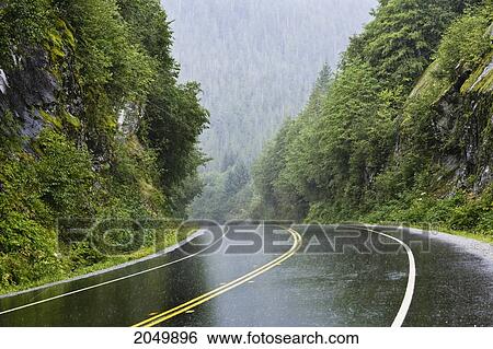 Stock Photograph - Artist's Choice: Rain At Rainbow Summit On Yellowhead Highway Near Prince Rupert, British Columbia. Fotosearch