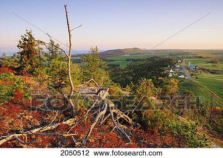 Stock Image - Artist's Choice: View Of Farms And Fields In Autumn At Sunrise, Kamouraska Village, Bas-Saint-Laurent Region, Quebec. Fotosearch