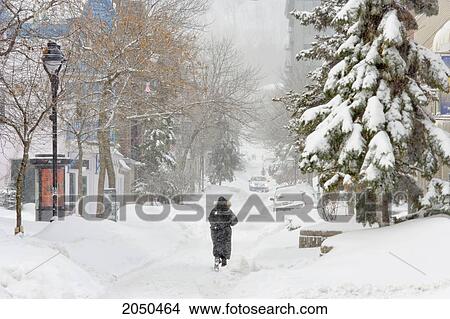 Artist's Choice: Woman Walking In Blowing Snow, Montreal, Quebec View Large Photo Image Picture - Artist's Choice: Woman Walking In Blowing Snow, Montreal, Quebec. Fotosearch