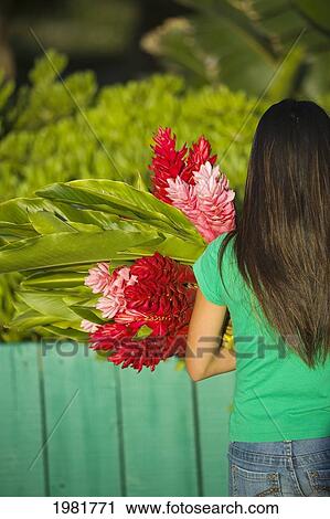 Asian American teenage girl holding red and pink ginger flowers. View Large Photo Image Stock Image - Asian American teenage girl holding red and pink ginger flowers.. Fotosearch