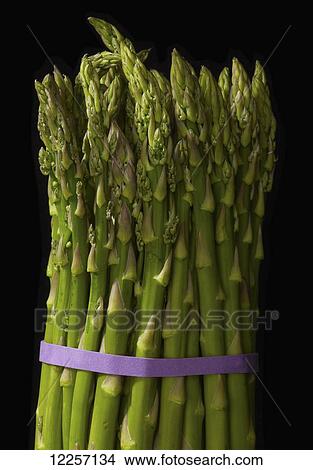 Asparagus bundle on black background View Large Photo Image Picture - Asparagus bundle on black background. Fotosearch