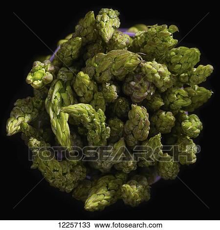 Asparagus bundle on black background View Large Photo Image Stock Image - Asparagus bundle on black background. Fotosearch