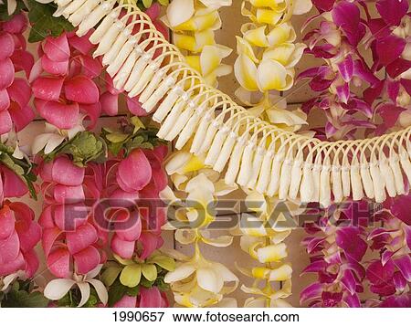 Stock Photo - Assorted Hawaiian Leis, Hanging In Bright, Colorful Strands, Studio Shot. Fotosearch