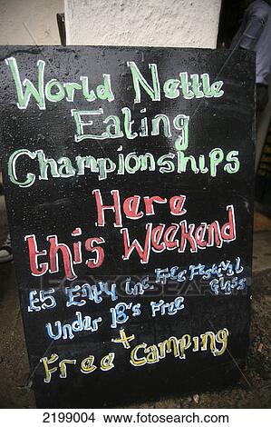 Picture - At the World Stinging Nettle Eating Championship and Beer Festival. Held annually in June at The Bottle Inn, Marshwood, Dorset, England.. Fotosearch