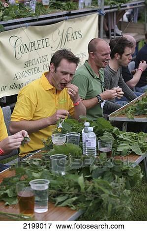 Stock Photo - At The World Stinging Nettle Eating Championship And Beer Festival. Held Annually In June At The Bottle Inn, Marshwood, Dorset, England.. Fotosearch