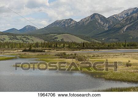 Athabasca River Flowing Beside The Canadian Rocky Mountains; Jasper Alberta Canada View Large Photo Image Stock Photograph - Athabasca River Flowing Beside The Canadian Rocky Mountains; Jasper Alberta Canada. Fotosearch