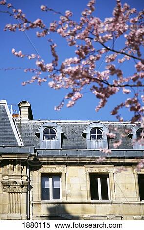 Stock Photography - Attic Windows In French Townhouse With Pink Blossom. Fotosearch