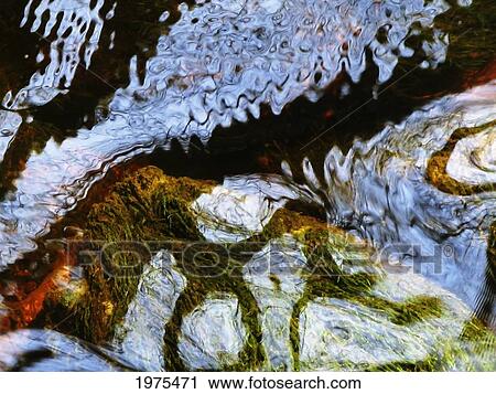 Stock Image - Au Makua, Massachusetts, Seekonk, Caratunk Wildlife Refuge, Shapes Made By Ripples And Reflections In Water.. Fotosearch