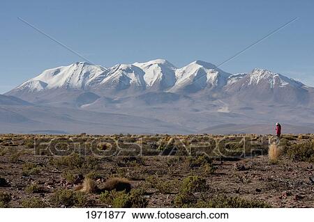 Aucanquilcha Volcano, As Seen From Yuma, Antofagasta Region, Chile View Large Photo Image Stock Photo - Aucanquilcha Volcano, As Seen From Yuma, Antofagasta Region, Chile. Fotosearch