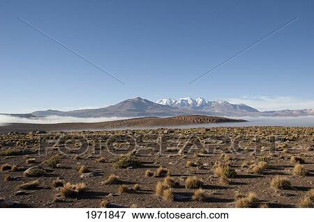 Stock Photo - Aucanquilcha Volcano & Salar De Alconcha Salt Pan Covered By Fog, Antofagasta Region, Chile. Fotosearch