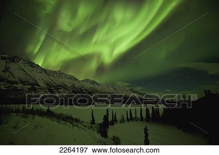 Stock Photo - Aurora borealis dances over annie lake; whitehorse yukon canada. Fotosearch