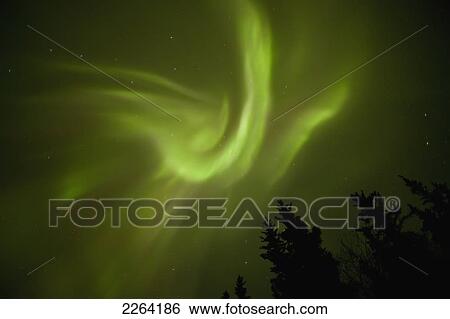 Aurora borealis dances over annie lake; whitehorse yukon canada View Large Photo Image Stock Photograph - Aurora borealis dances over annie lake; whitehorse yukon canada. Fotosearch