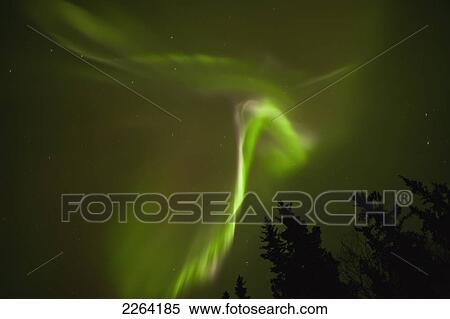 Aurora borealis dances over annie lake; whitehorse yukon canada View Large Photo Image Stock Photography - Aurora borealis dances over annie lake; whitehorse yukon canada. Fotosearch